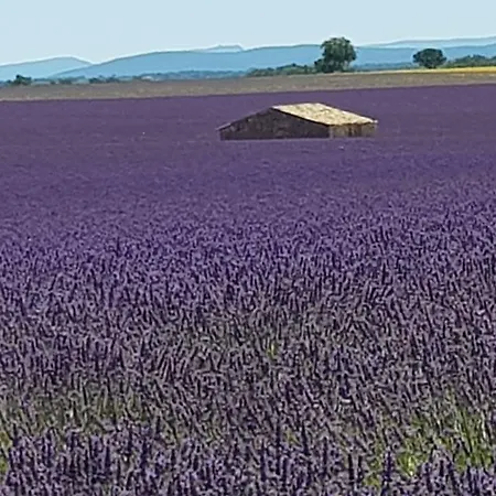 La Toupinelle * Bras-d'Asse